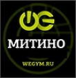 Сеть фитнес-клубов WeGym